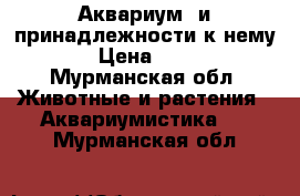 Аквариум  и принадлежности к нему  › Цена ­ 500 - Мурманская обл. Животные и растения » Аквариумистика   . Мурманская обл.